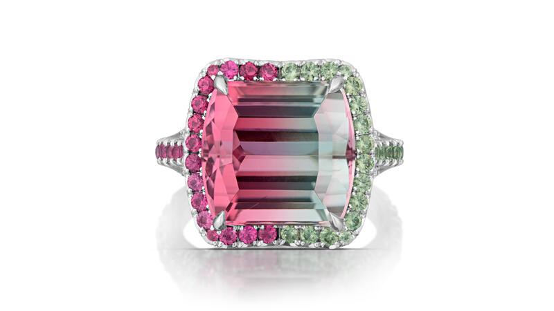 AGTA spectrum Best use of color 2024 Niveet Nagpal